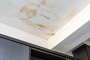 mehrleistung 281690442